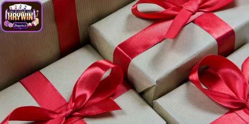 Giới thiệu đôi điều về danh mục khuyến mãi Haywin